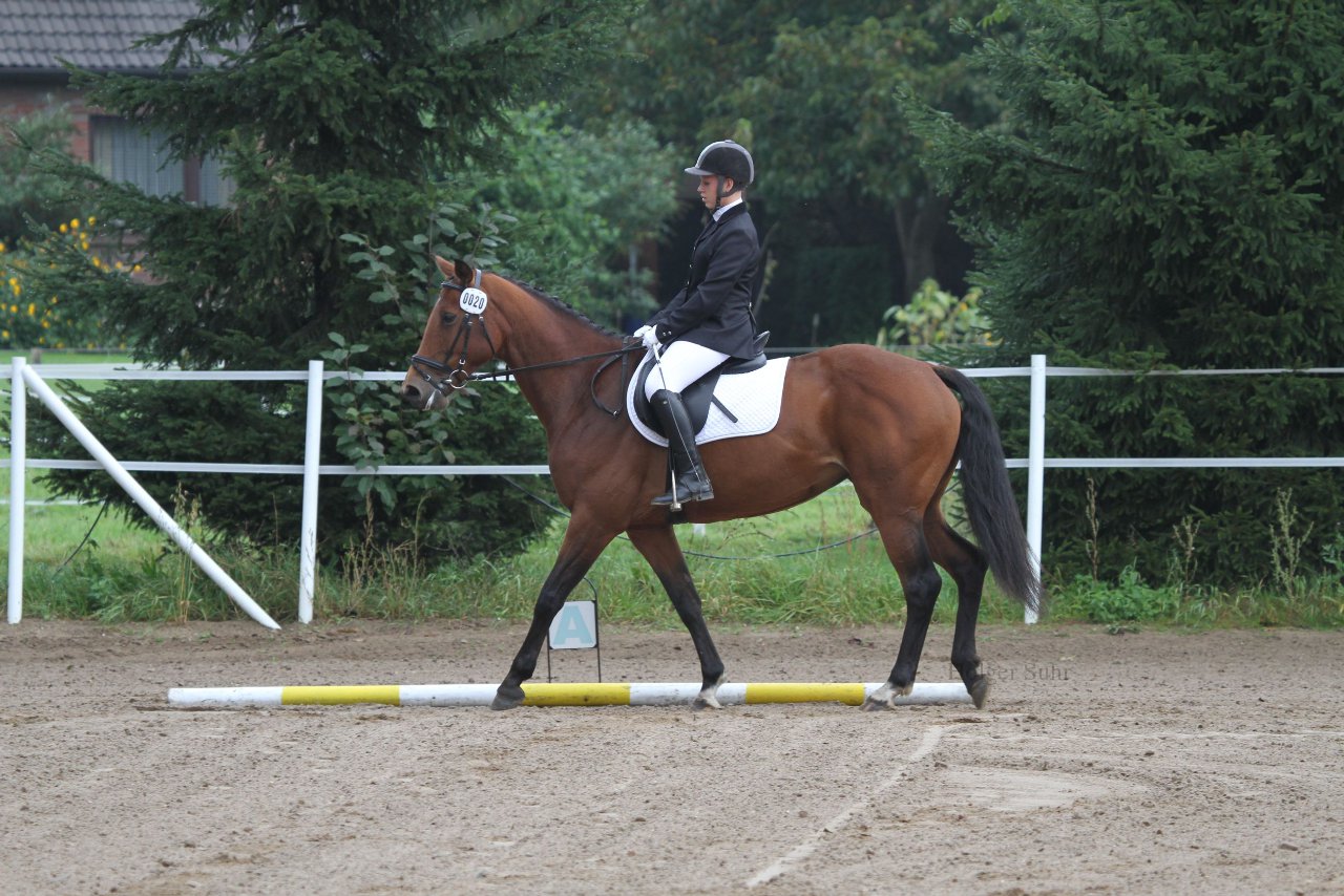 Bild 13 - WBO-Turnier am 18.9.11